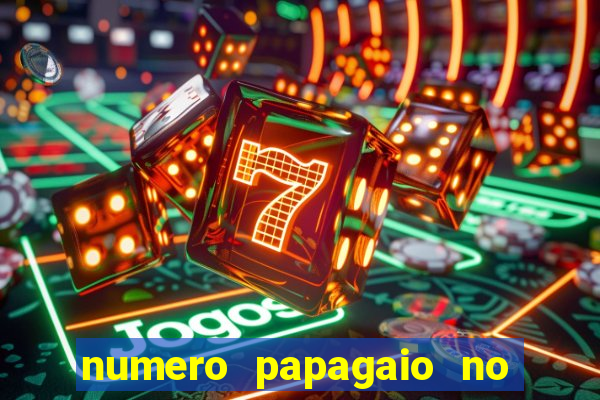 numero papagaio no jogo do bicho